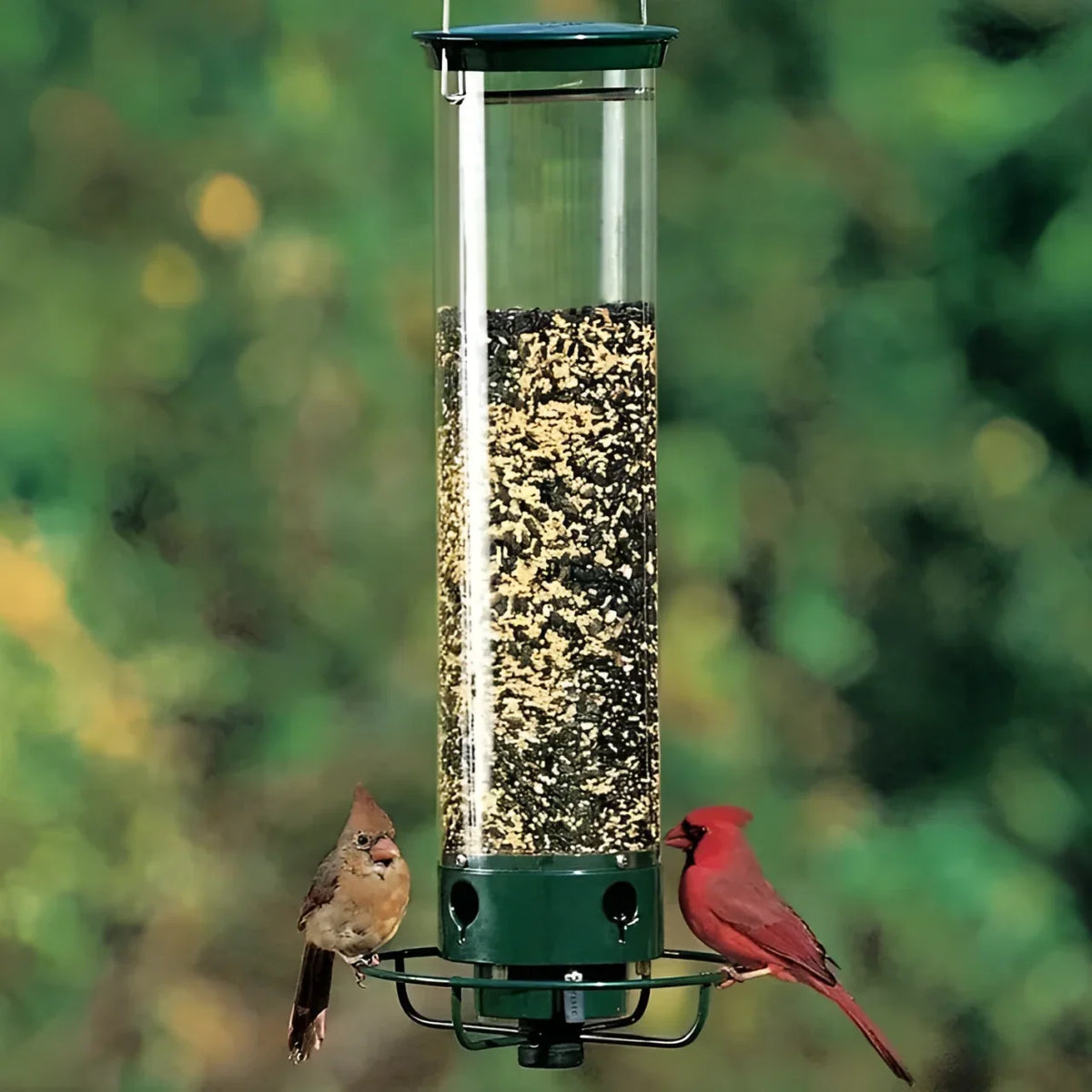 Bird Feeder Squirrel-Proof Weight-Activated Weather-Resistant Four-Port