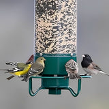 Bird Feeder Squirrel-Proof Weight-Activated Weather-Resistant Four-Port