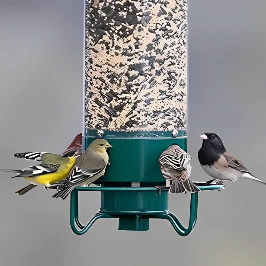 Bird Feeder Squirrel-Proof Weight-Activated Weather-Resistant Four-Port