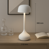 Desk Lamp Touch Control Adjustable Color Temperature