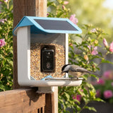 Outdoor Bird Feeder Camera Solar-Powered AI Bird ID