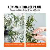 Fake Olive Plant with Stable Stand