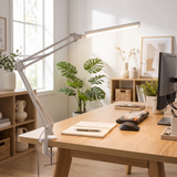 LED Desk Lamp with Adjustable Clamp Attachment