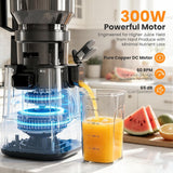 Kismile Cold Press Juicer with 6.1" Extra Large Feed Chute JU27922-STEEL