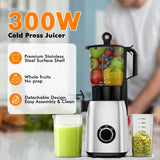 Kismile Juicer Machines with 5.4" Large Feed Chute 27120KJU0